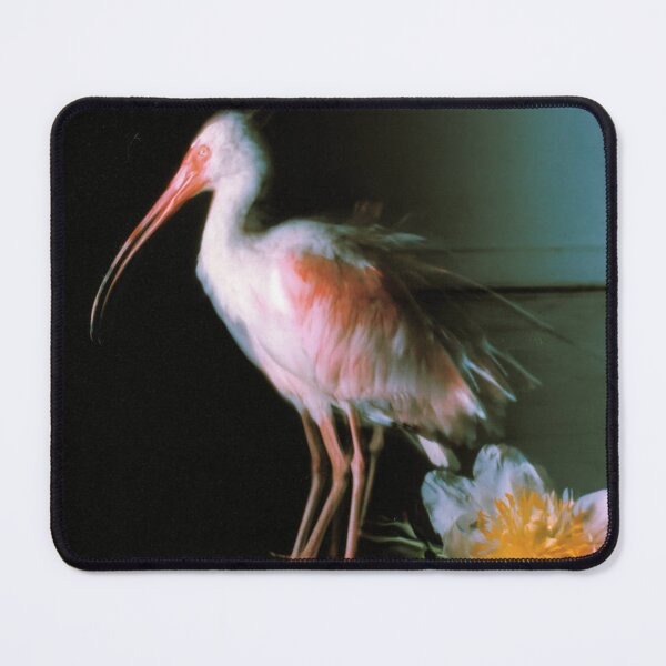 Item preview, Ethereal White Ibis Standing Beside Peony designed and sold by TerrellynKinneu.