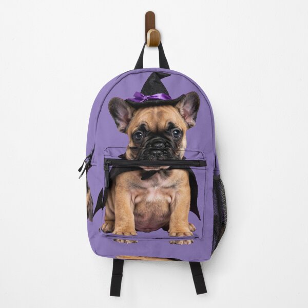 Item preview, Cute Witch French Bulldog Halloween Costume designed and sold by ProPetStudio.