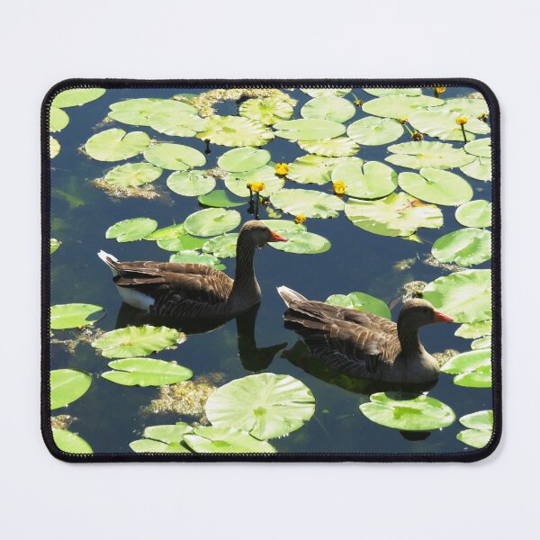 Item preview, Two Geese with Lilypads - Photo designed and sold by GenAumonier.