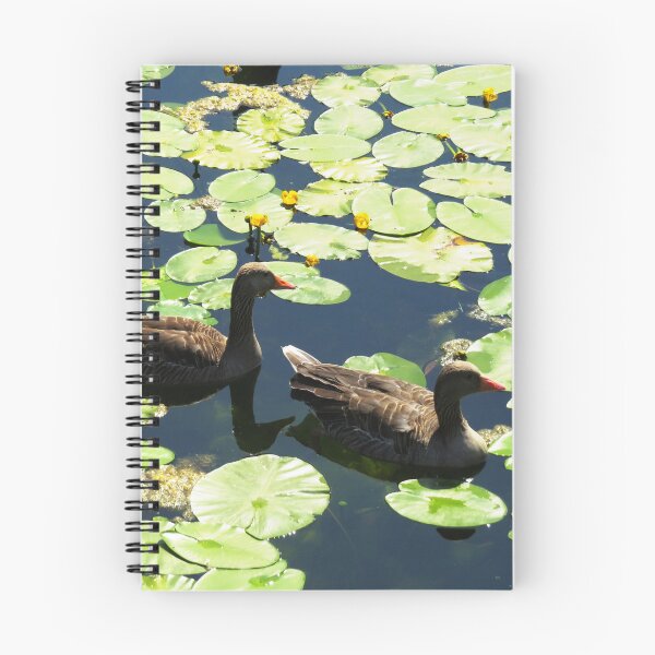 Item preview, Two Geese with Lilypads - Photo designed and sold by GenAumonier.