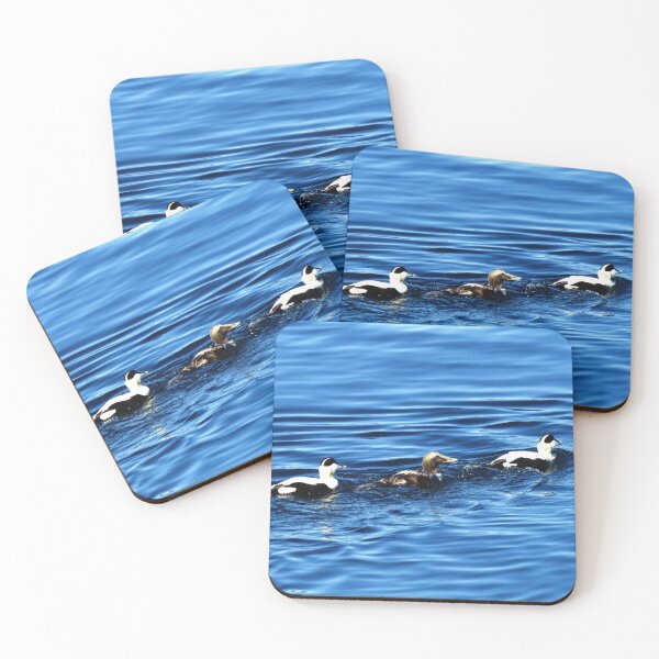 Item preview, 3 Ducks on Blue - Photo designed and sold by GenAumonier.