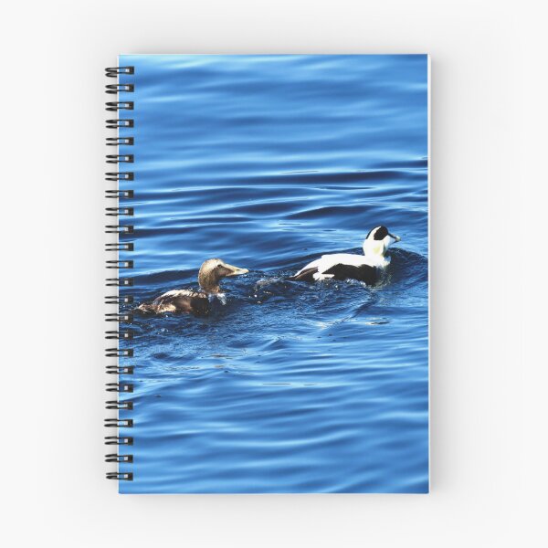 Item preview, 3 Ducks on Blue - Photo designed and sold by GenAumonier.