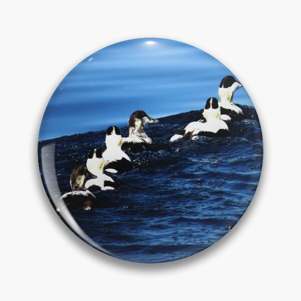 Item preview, 7 Ducks is a Row - Photo designed and sold by GenAumonier.