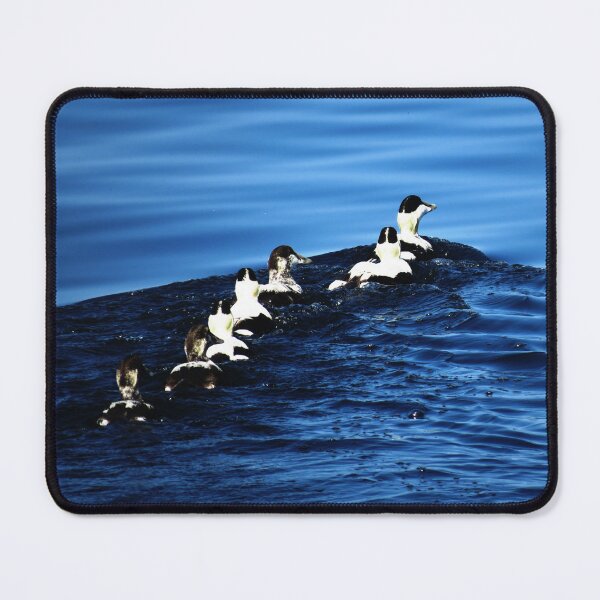 Item preview, 7 Ducks is a Row - Photo designed and sold by GenAumonier.