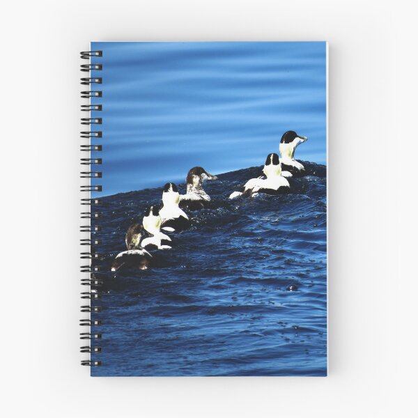 Item preview, 7 Ducks is a Row - Photo designed and sold by GenAumonier.