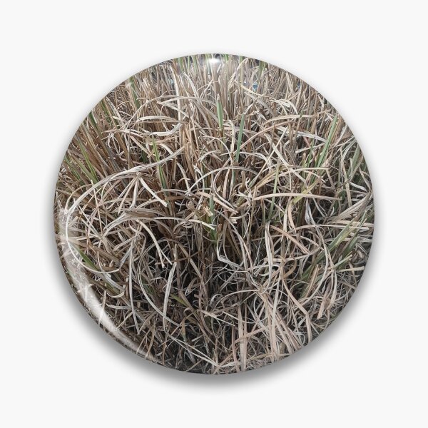 Artikelvorschau, Natural Dried Grass Texture entworfen und verkauft von PhuongVoArt.