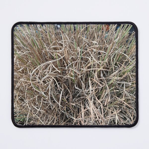 Item preview, Natural Dried Grass Texture designed and sold by PhuongVoArt.