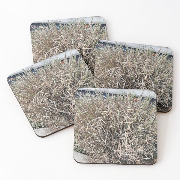 Item preview, Natural Dried Grass Texture designed and sold by PhuongVoArt.