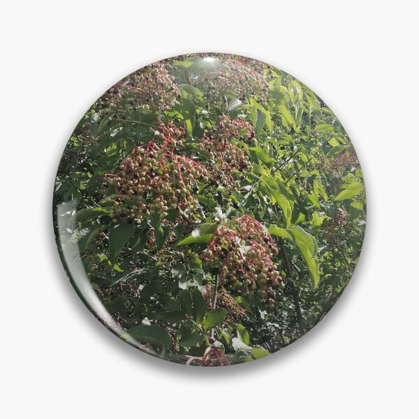 Artikelvorschau, Elderberry Clusters in Green Foliage entworfen und verkauft von PhuongVoArt.