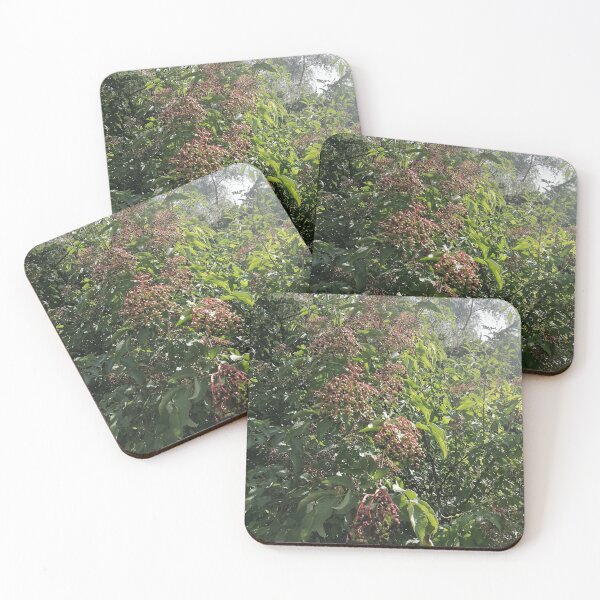 Artikelvorschau, Elderberry Clusters in Green Foliage entworfen und verkauft von PhuongVoArt.