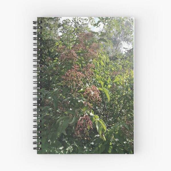 Item preview, Elderberry Clusters in Green Foliage designed and sold by PhuongVoArt.