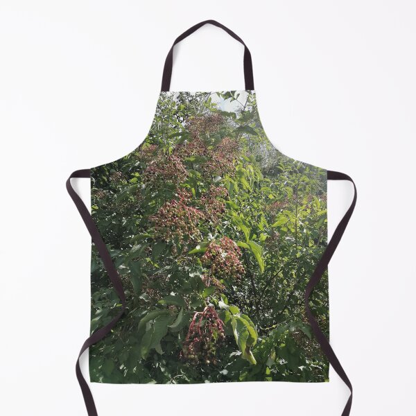 Item preview, Elderberry Clusters in Green Foliage designed and sold by PhuongVoArt.