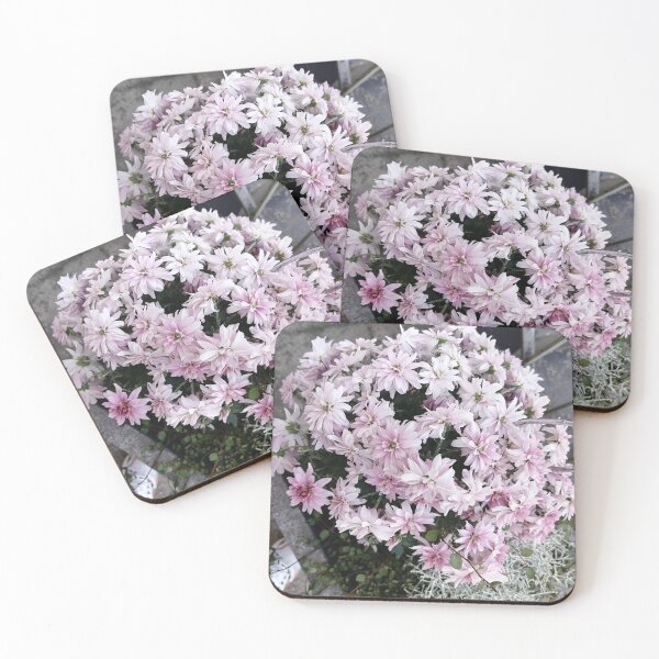 Item preview, Pink and White Chrysanthemum Flowers designed and sold by PhuongVoArt.