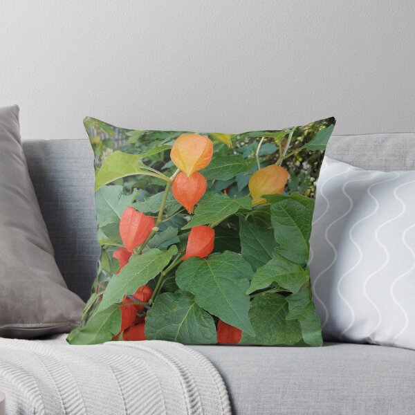 Item preview, Chinese Lantern Plant Orange Husks designed and sold by PhuongVoArt.
