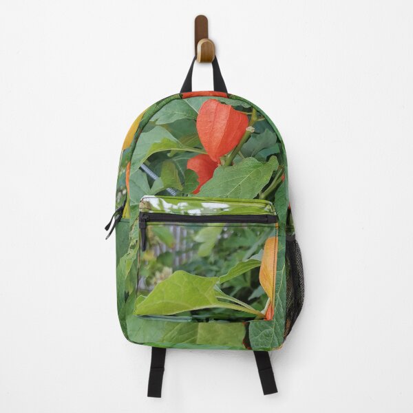 Item preview, Chinese Lantern Plant Orange Husks designed and sold by PhuongVoArt.