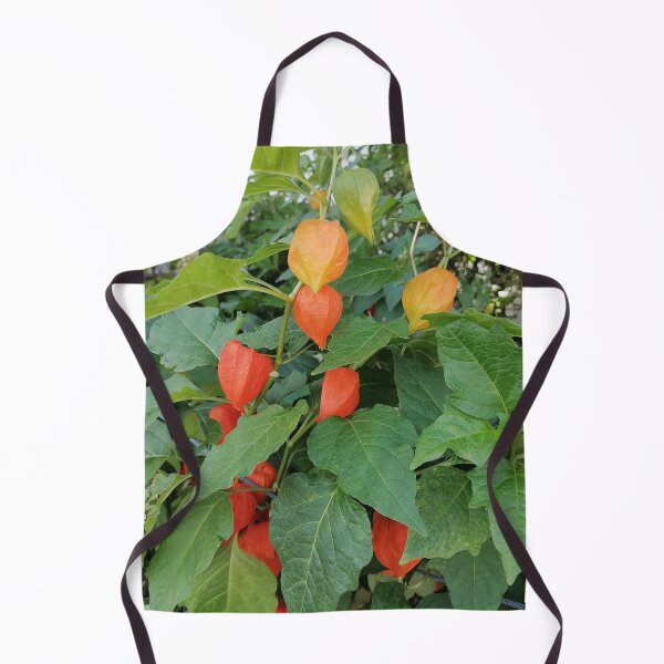 Item preview, Chinese Lantern Plant Orange Husks designed and sold by PhuongVoArt.