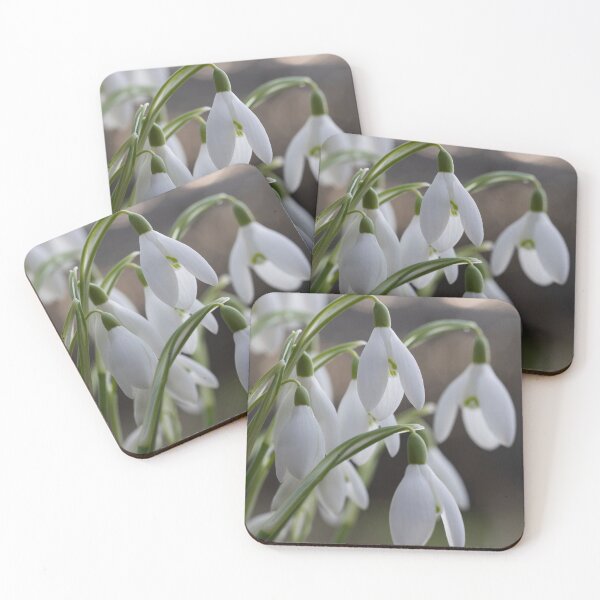 Item preview, winter snowdrops designed and sold by codaimages.