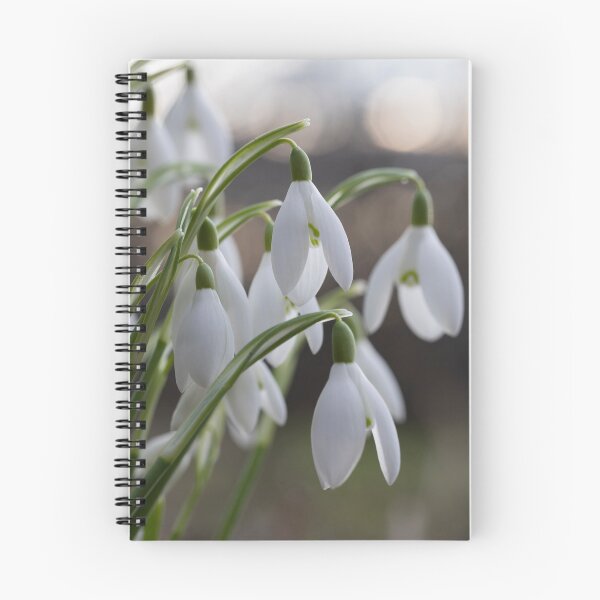 Item preview, winter snowdrops designed and sold by codaimages.