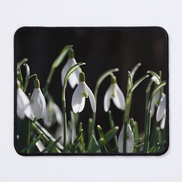 Item preview, snowdrops designed and sold by codaimages.