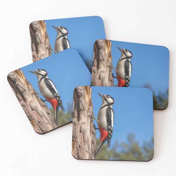 Item preview, Great Spotted Woodpecker bird designed and sold by Artnovalty.redbubble.com.