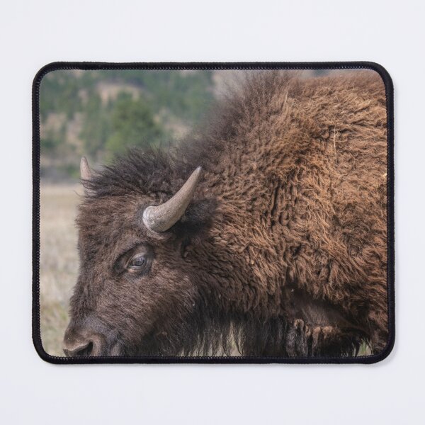 Item preview, American Bison in Custer State Park SD designed and sold by PhotoArt by Joan Carroll.