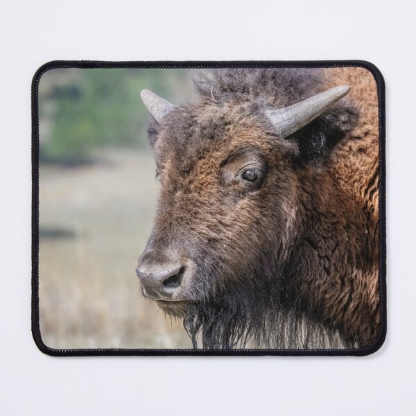Item preview, American Bison in Profile designed and sold by PhotoArt by Joan Carroll.