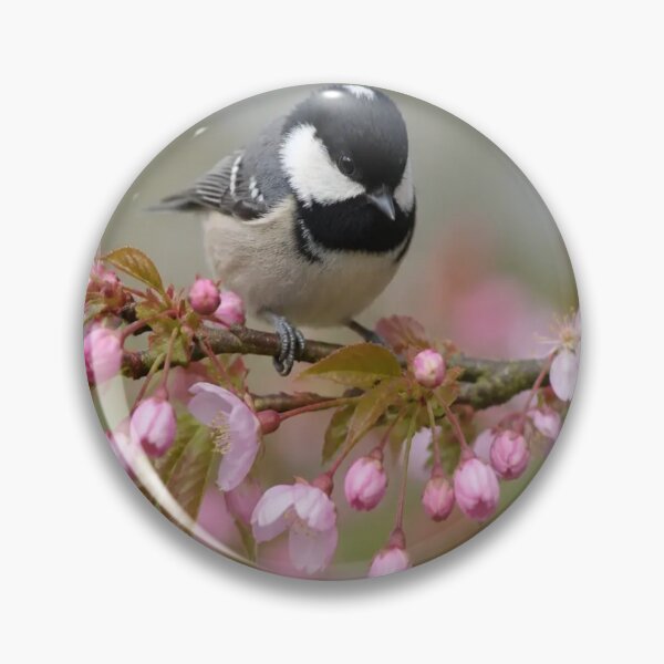 Item preview, Coal Tit bird designed and sold by Artnovalty.redbubble.com.