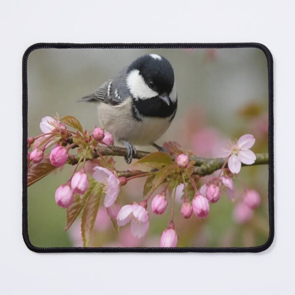 Item preview, Coal Tit bird designed and sold by Artnovalty.redbubble.com.