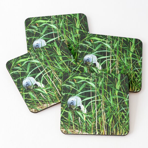 Item preview, Hidden Nesting Heron - Photo designed and sold by GenAumonier.