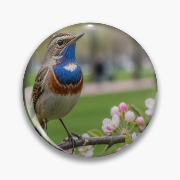 Item preview, Blue Throat bird designed and sold by Artnovalty.redbubble.com.