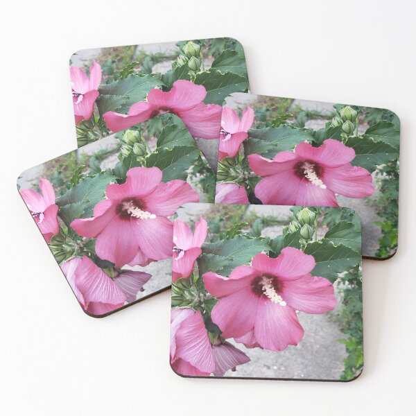 Item preview, Rose of Sharon designed and sold by concretebotany.