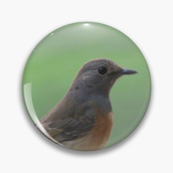 Item preview, Little Bird on a White Railing 1 - Photo designed and sold by GenAumonier.