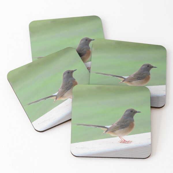 Item preview, Little Bird on a White Railing 1 - Photo designed and sold by GenAumonier.