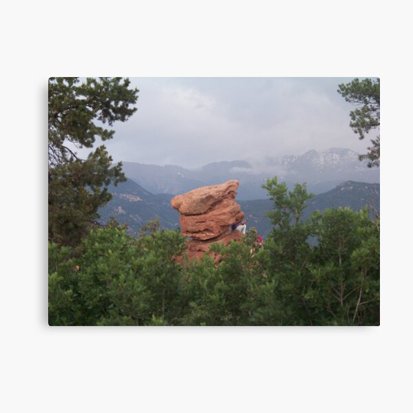 The Angry Scotsman Canvas Print