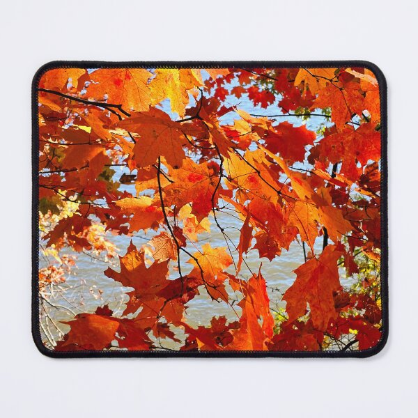 Item preview, Autumn Mood designed and sold by Alla Gill.