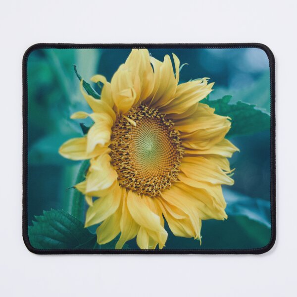 Item preview, Sunflower in the Evening designed and sold by DenaHaines.