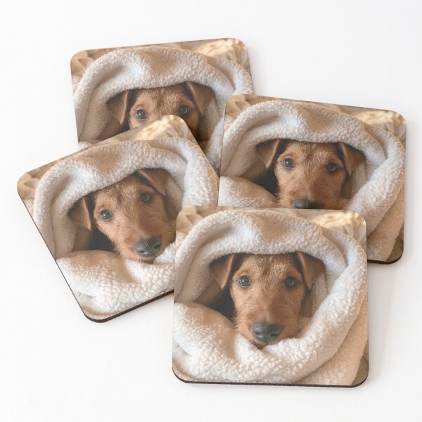 Item preview, Airedale Terrier in Blanket 01 designed and sold by Elisabeth Lucas.