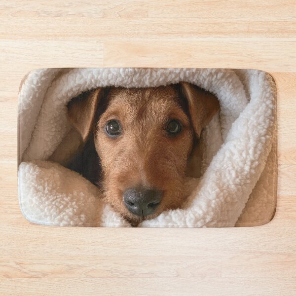 Item preview, Airedale Terrier in Blanket 01 designed and sold by Elisabeth Lucas.