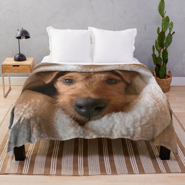 Item preview, Airedale Terrier in Blanket 01 designed and sold by Elisabeth Lucas.