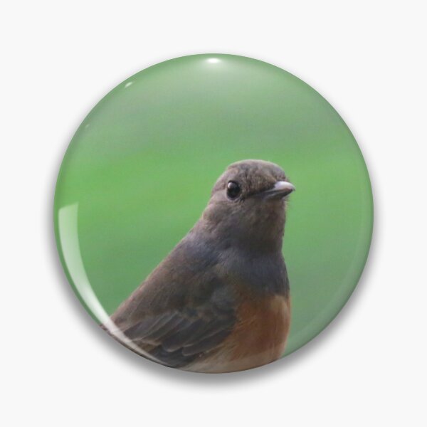 Item preview, Little Bird on a White Railing 2 - Photo designed and sold by GenAumonier.