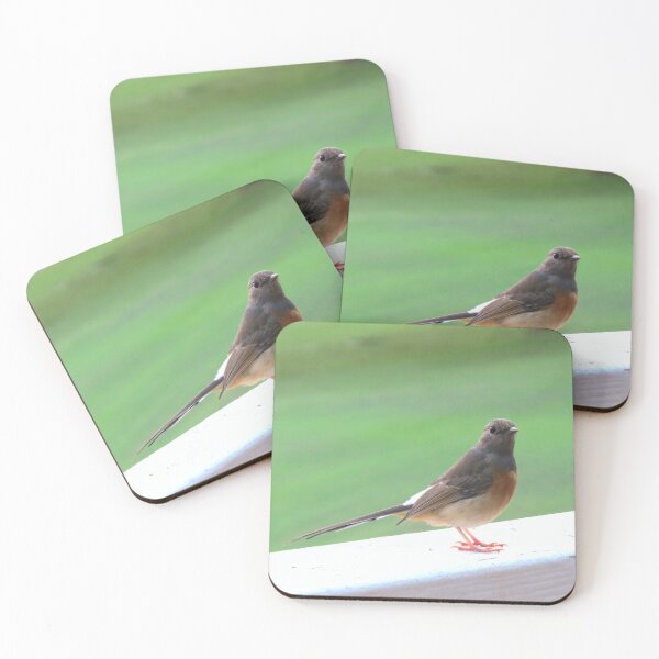 Item preview, Little Bird on a White Railing 2 - Photo designed and sold by GenAumonier.