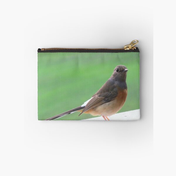 Item preview, Little Bird on a White Railing 2 - Photo designed and sold by GenAumonier.