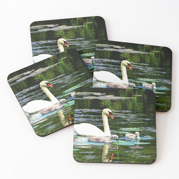 Item preview, Swan and Cygnets - Photo designed and sold by GenAumonier.