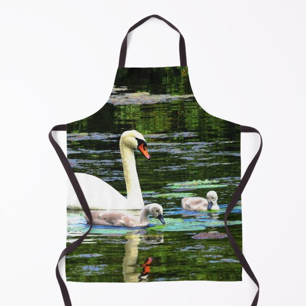 Item preview, Swan and Cygnets - Photo designed and sold by GenAumonier.