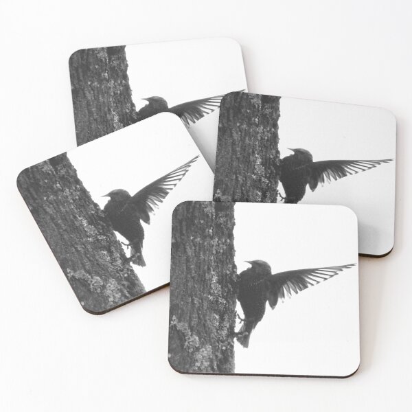 Item preview, Wingspan Black and White - Photo designed and sold by GenAumonier.