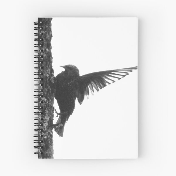 Item preview, Wingspan Black and White - Photo designed and sold by GenAumonier.