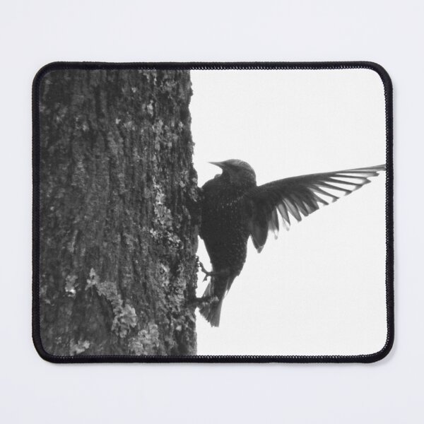 Item preview, Wingspan Black and White - Photo designed and sold by GenAumonier.