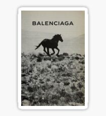 Wild and Free - Balenciaga Sticker