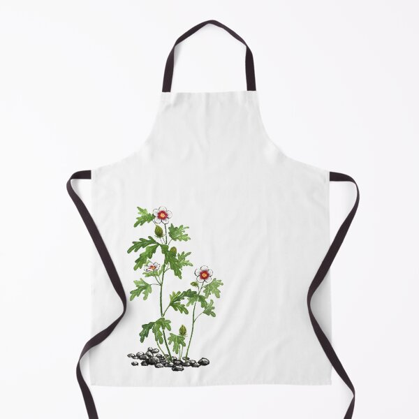 Item preview, August 3rd birthday flower Hibiscus trionum designed and sold by 366birthflower.