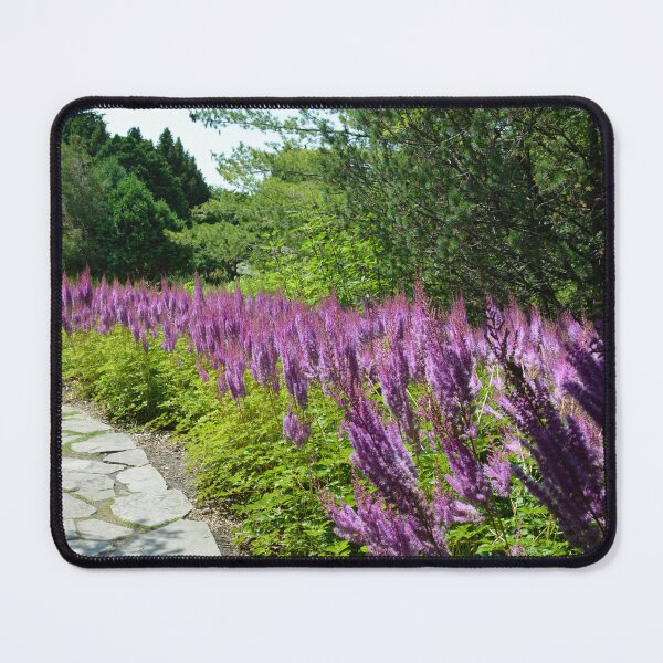 Item preview, Walkway of Magenta Flowers designed and sold by EmilySutin.